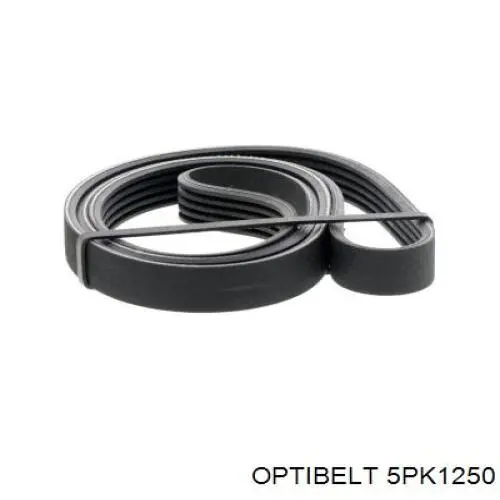 Correa accesorios Optibelt 5PK1250