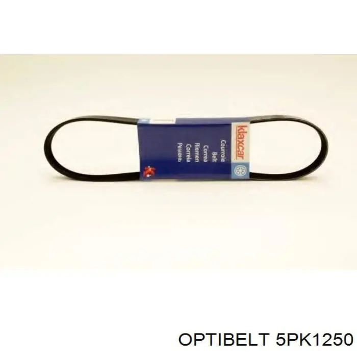 Correa de transmisión trapezoidal Optibelt 5PK1250 precio, desde 10,80 EUR