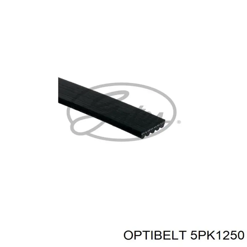 Correa de alternador 5PK1250 Optibelt