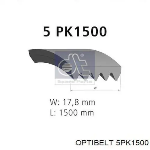 Correa de alternador para Audi TT FV9, FVR