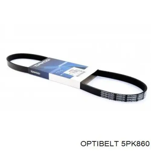 Correa accesorios INA FB5PK860