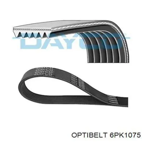 Correa trapezoidal Peugeot Partner 1 5F