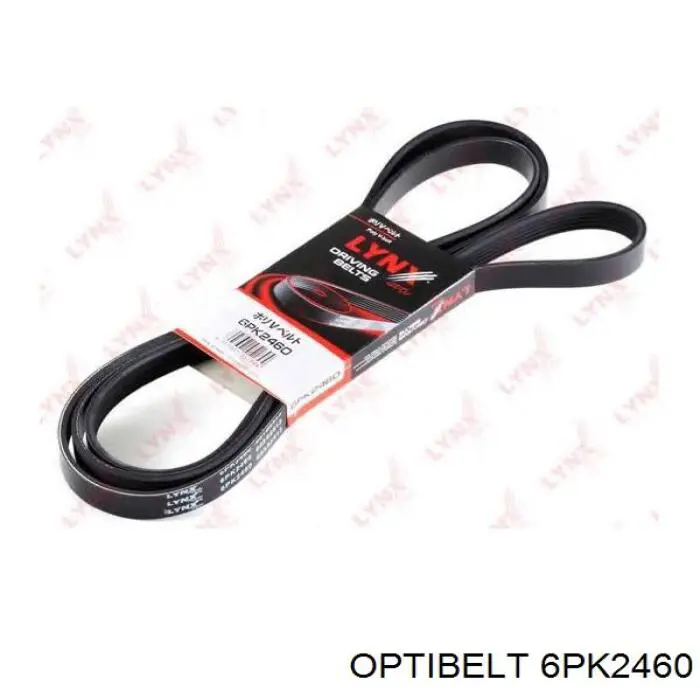 6PK2460 Optibelt correa trapezoidal