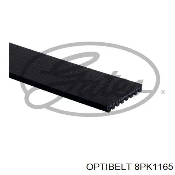 8PK1165 Optibelt correa trapezoidal