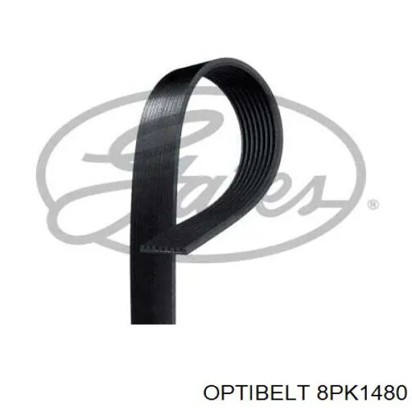 8PK1480 Optibelt correa trapezoidal