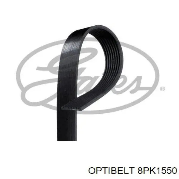 8PK1550 Optibelt correa trapezoidal