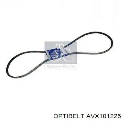 AVX10 1225 Optibelt correa trapezoidal