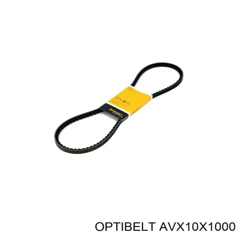 Correa de transmisión trapezoidal Optibelt AVX10X1000 precio, desde 8,52 EUR