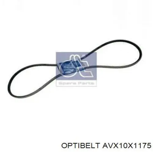 Correa de alternador 10A1170C Dayco