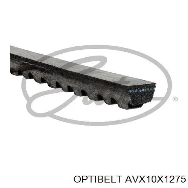 AVX10X1275 Optibelt correa trapezoidal