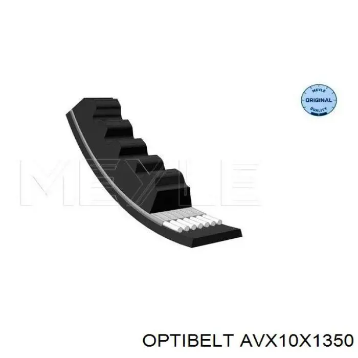 AVX10X1350 Optibelt correa trapezoidal