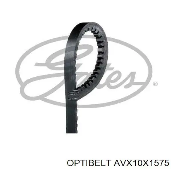 Correa de alternador AVX10X1575 Continental/Siemens