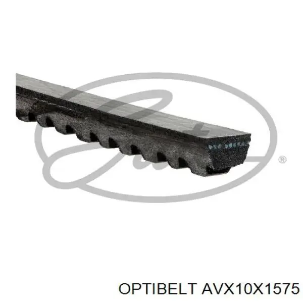 AVX10X1575 Continental/Siemens correa trapezoidal