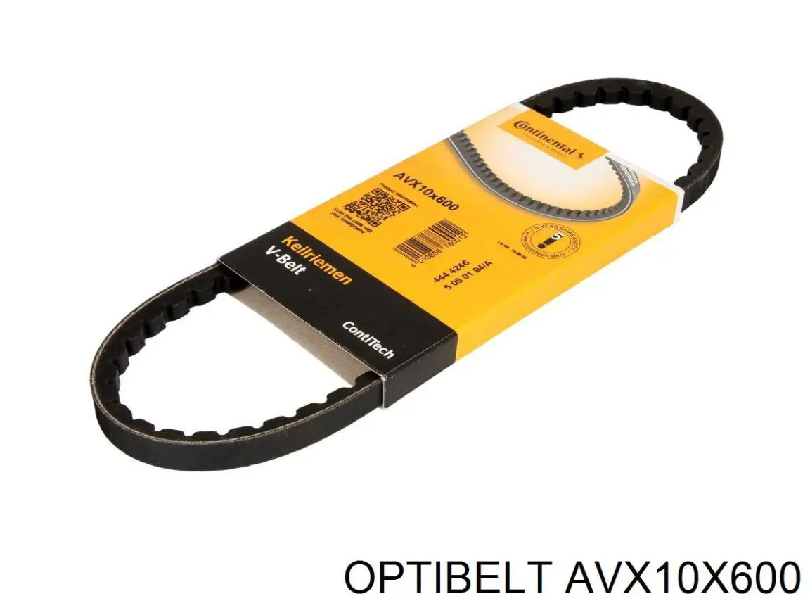 AVX10X600 Optibelt correa trapezoidal