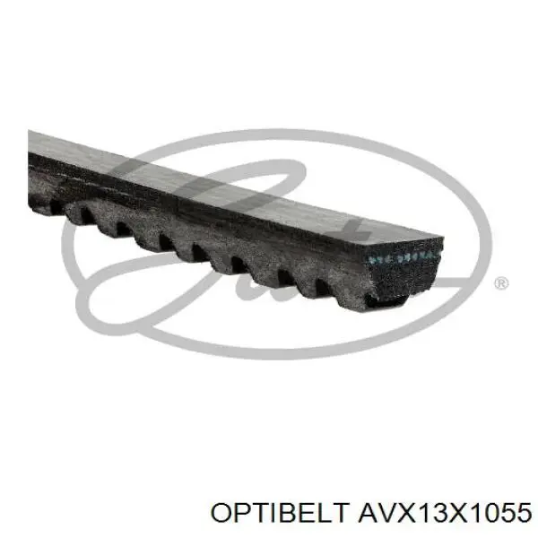 AVX13X1055 Optibelt correa trapezoidal