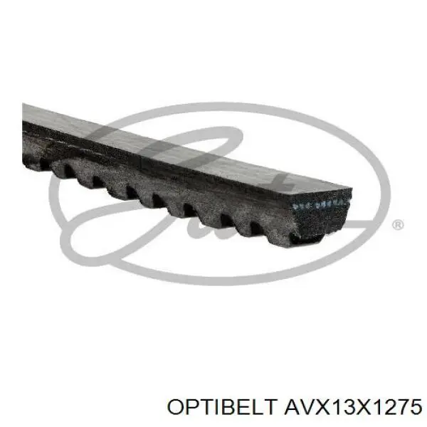 AVX13X1275 Optibelt correa trapezoidal