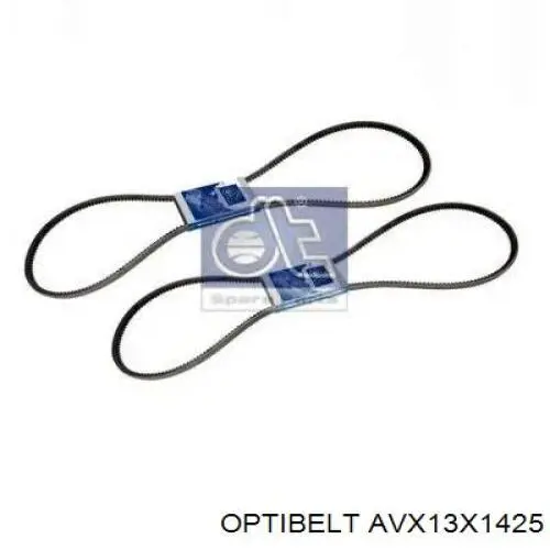 Correa de alternador 13A1425C Dayco