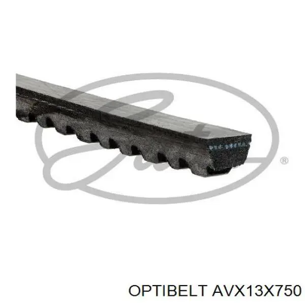AVX13X750 Optibelt correa trapezoidal