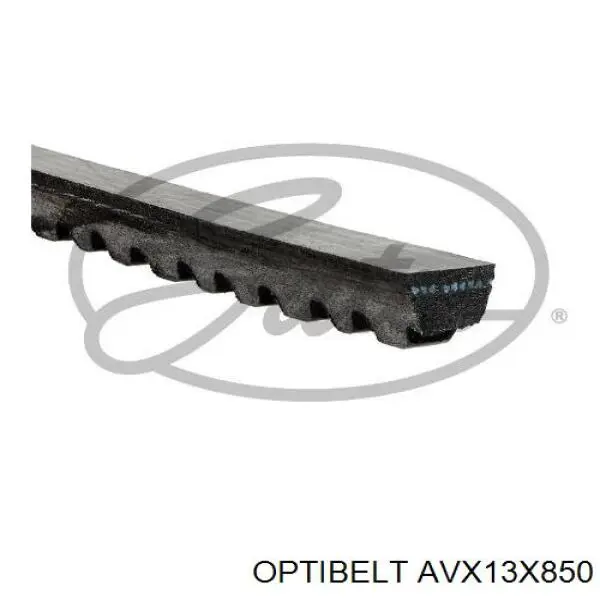 AVX13X850 Optibelt correa trapezoidal