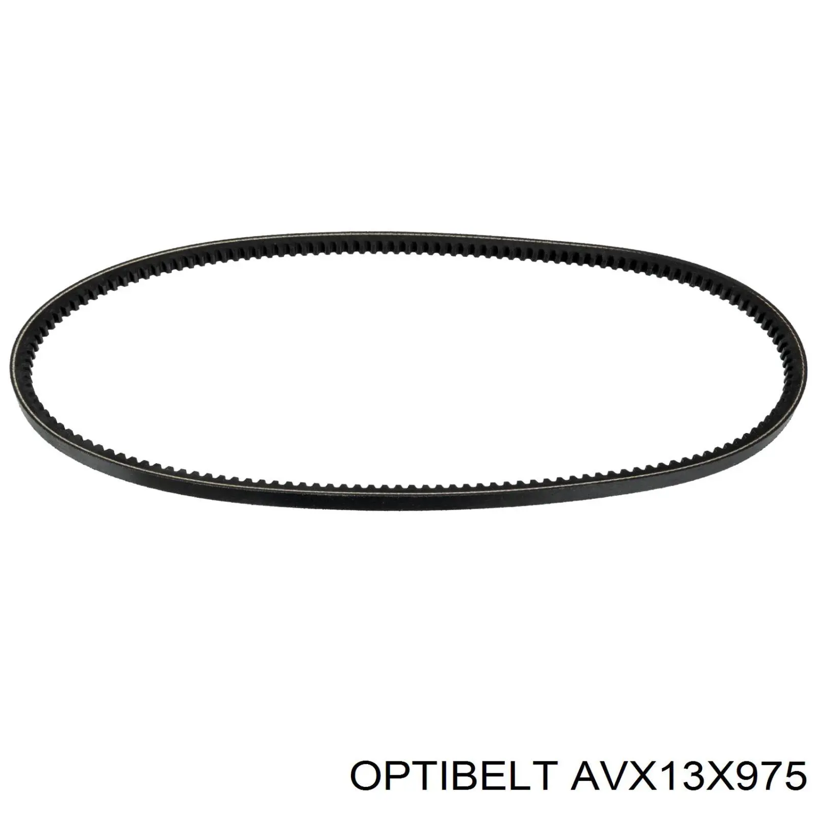 AVX13X975 Optibelt correa trapezoidal