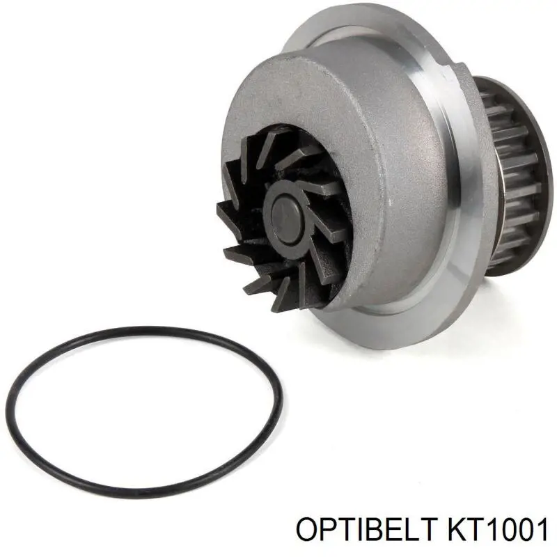 Kit de distribución KT1001 Optibelt
