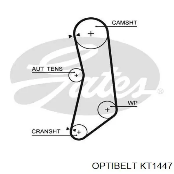 Comprar KT1447 Optibelt Kit de correa de distribución