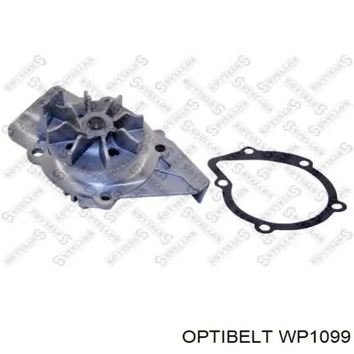 Bomba de agua Peugeot 406 8B