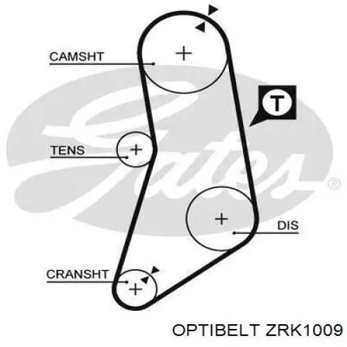 ZRK1009 Optibelt correa distribucion