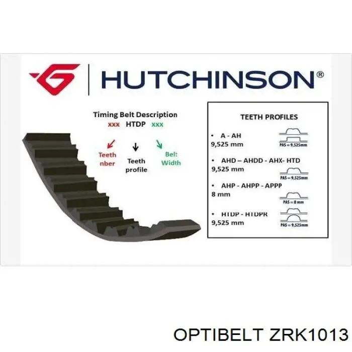 ZRK1013 Optibelt correa distribucion