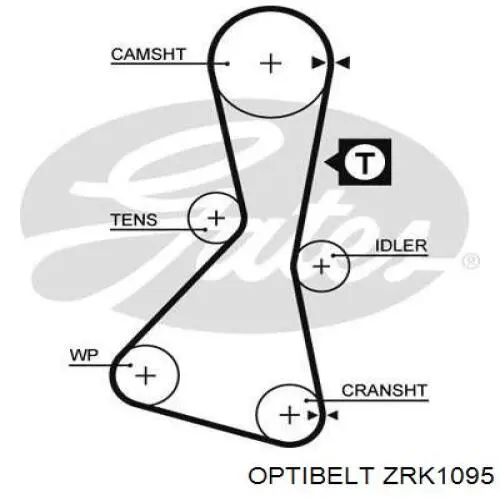 ZRK 1095 Optibelt correa distribucion