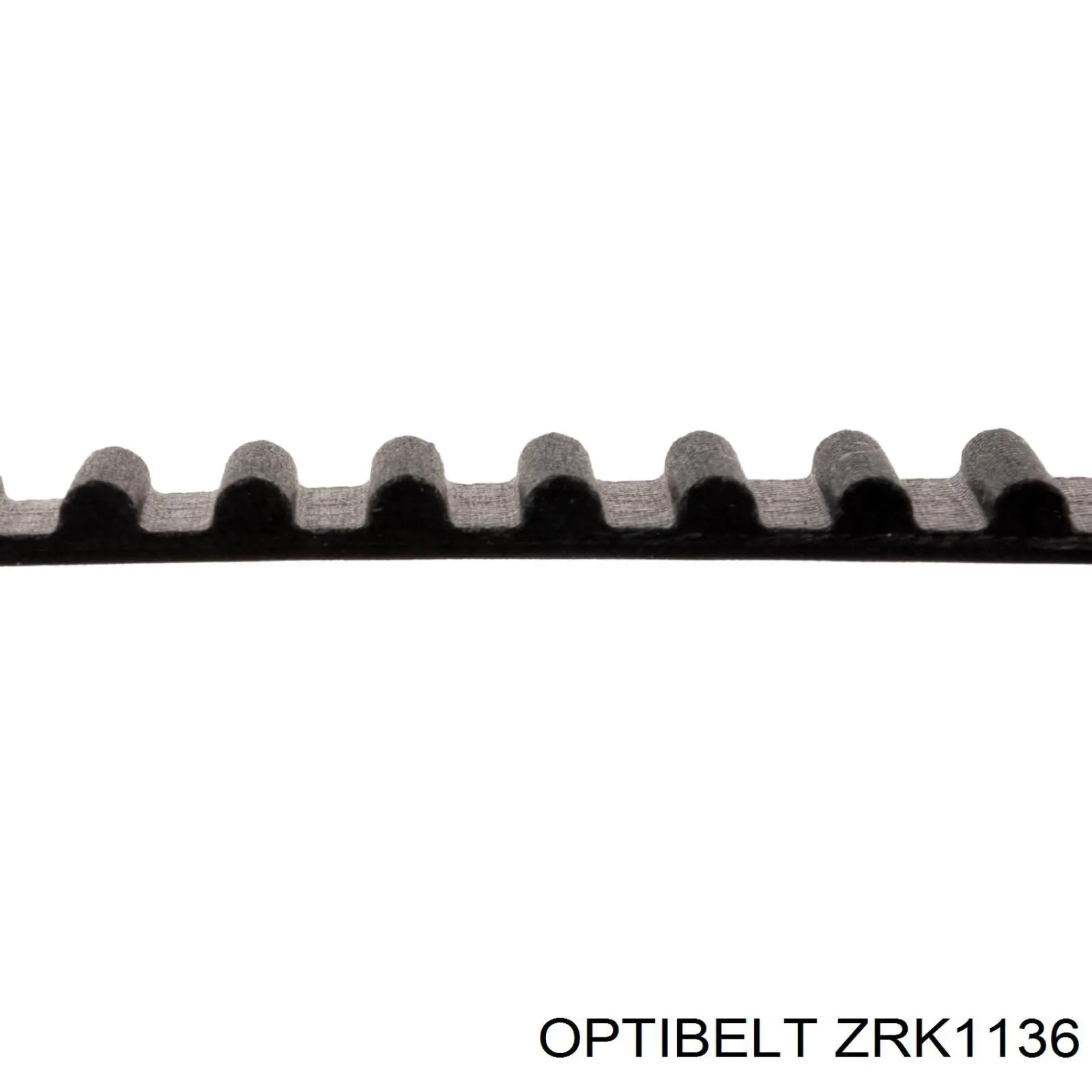 ZRK 1136 Optibelt correa distribucion