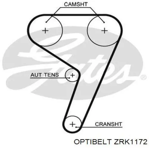 Comprar ZRK1172 Optibelt Correa distribución
