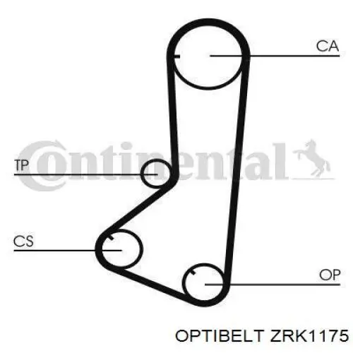 ZRK1175 Optibelt correa distribucion