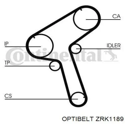 ZRK1189 Optibelt correa distribucion