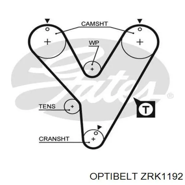 ZRK 1192 Optibelt correa distribucion