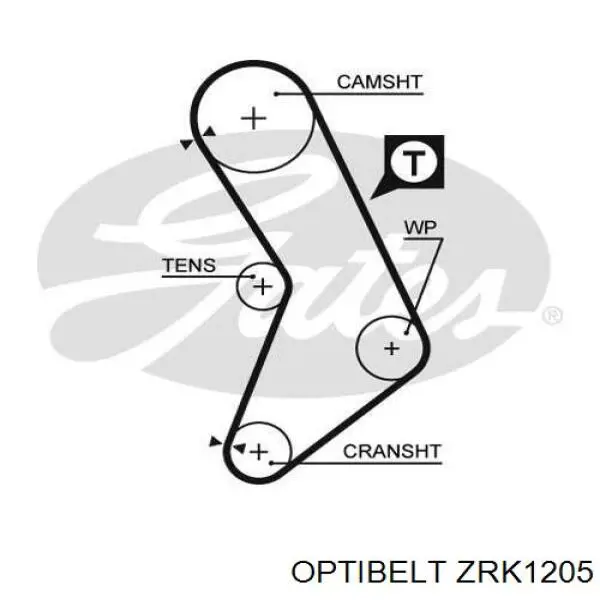 ZRK1205 Optibelt correa distribucion