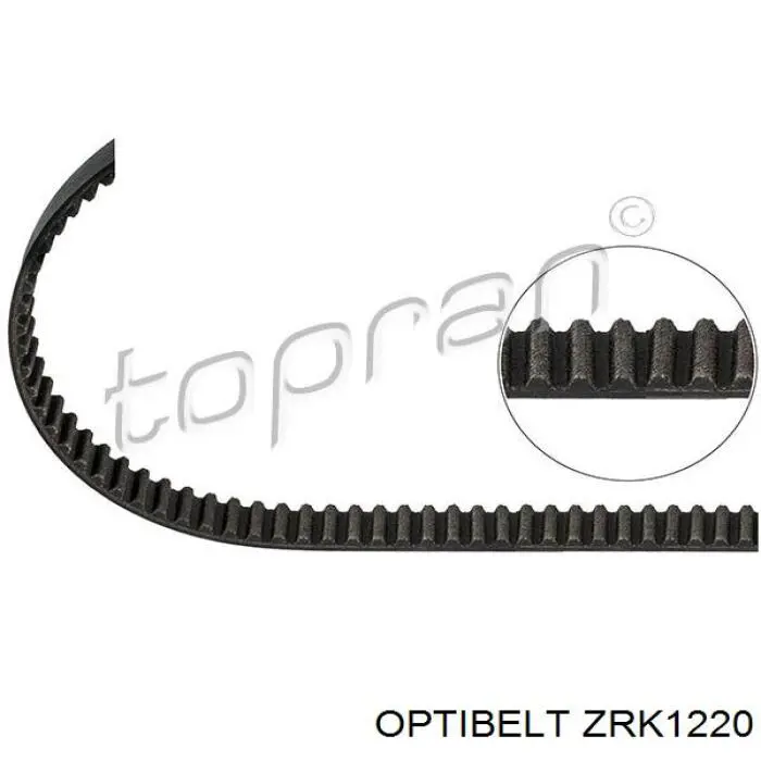 ZRK1220 Optibelt correa distribución