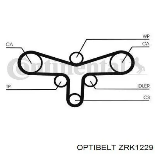 ZRK1229 Optibelt correa distribucion