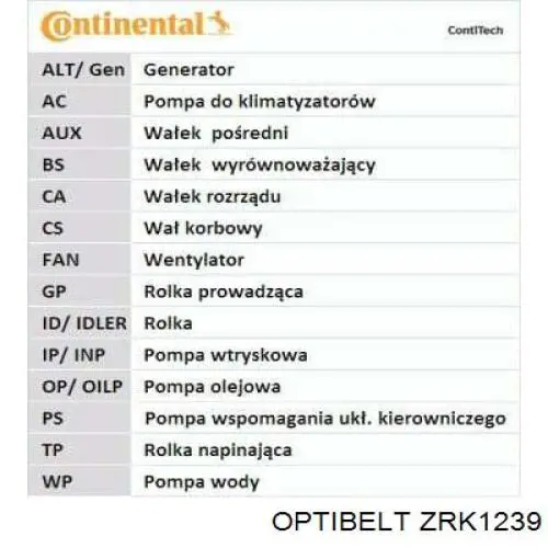 Zrk1239 Optibelt correa distribucion