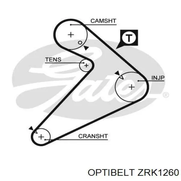 ZRK1260 Optibelt correa distribucion