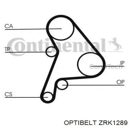 Correa distribucion Skoda Felicia 1 791, 6U1