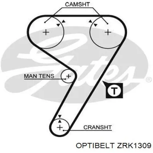 ZRK1309 Optibelt correa distribucion