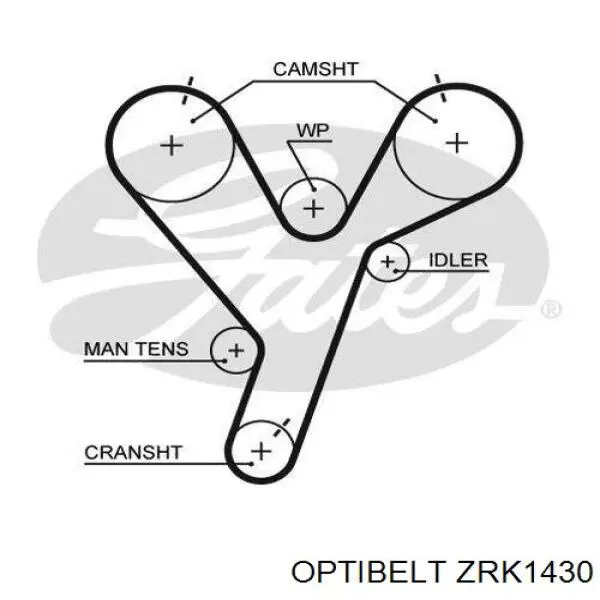 ZRK 1430 Optibelt correa distribucion