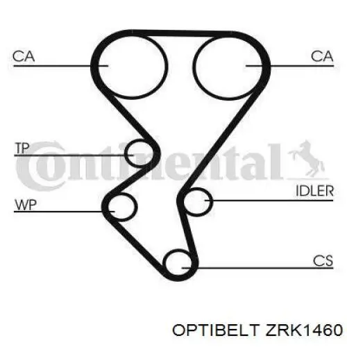 Correa distribucion Ford Fiesta JH, JD