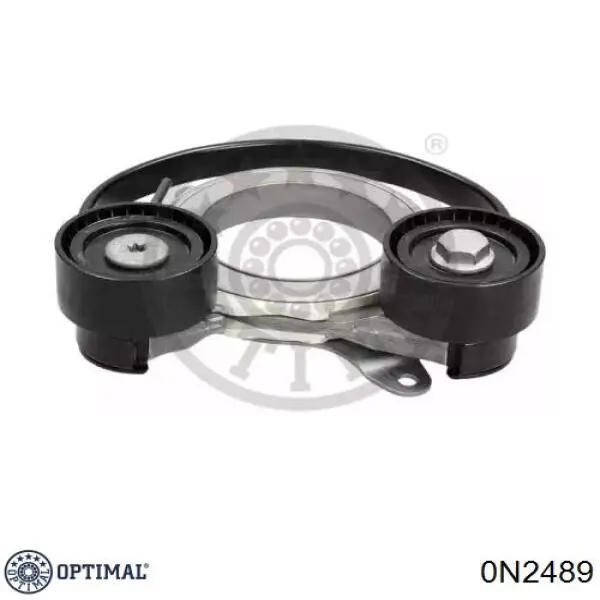 Tensor de correa accesorios BTA E2W0069BTA precio, desde 42,05 EUR