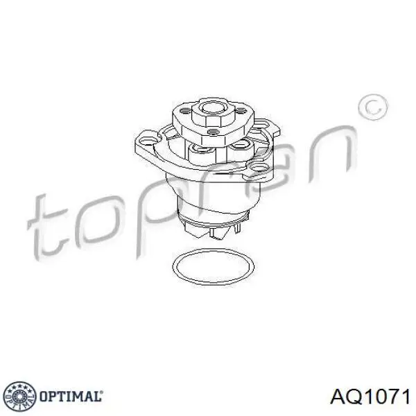 AQ1071 Optimal bomba de agua