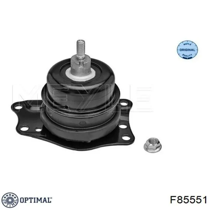 F8-5551 Optimal soporte de motor derecho