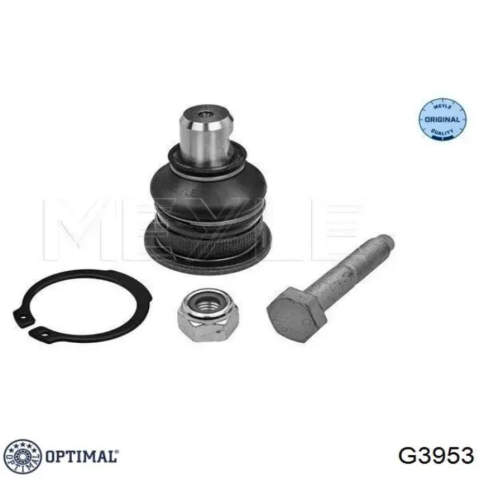 Rótula inferior de suspensión G3953 Optimal