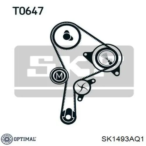 SK1493AQ1 Optimal kit correa de distribución