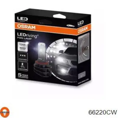 Bombilla antiniebla 66220CW Osram